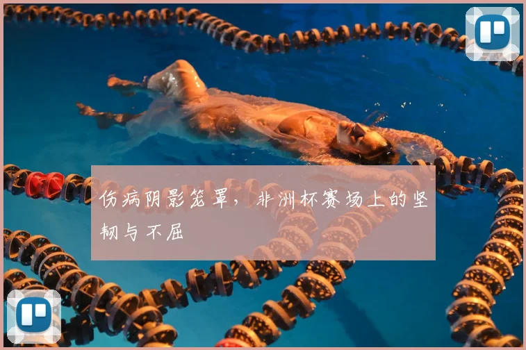 伤病阴影笼罩，非洲杯赛场上的坚韧与不屈