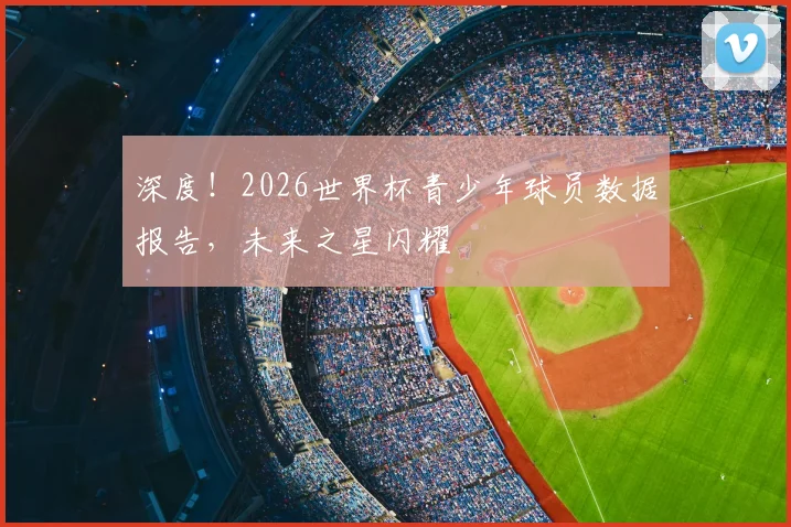 深度!2026世界杯青少年球员数据报告,未来之星闪耀