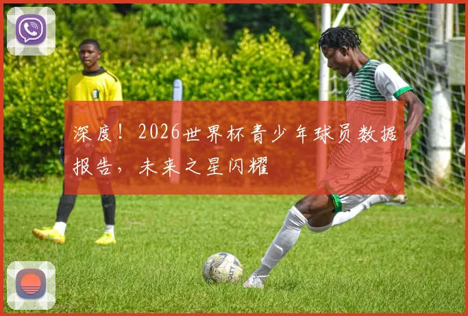 深度!2026世界杯青少年球员数据报告,未来之星闪耀